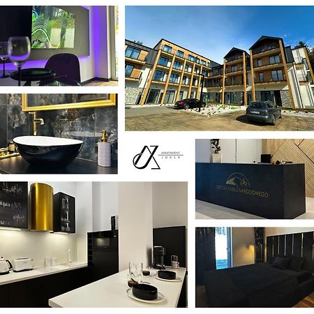 Luksusowy Apartament Joker 2 Szklarska Poręba Zewnętrze zdjęcie